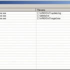 deletion extension monitor 140x140